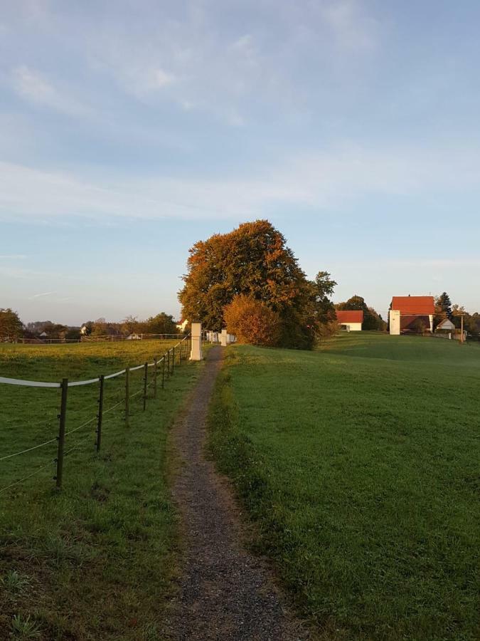 Ferienwohnung Dressler Wolfegg Esterno foto